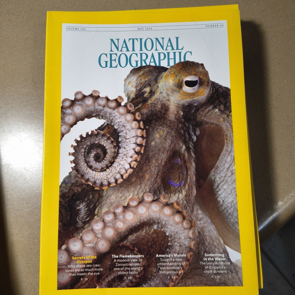National Geographic Yellow Border Coffee Table Book